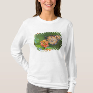 T-shirts Borboleta Soldier (Danaus eresimus) se alimentando
