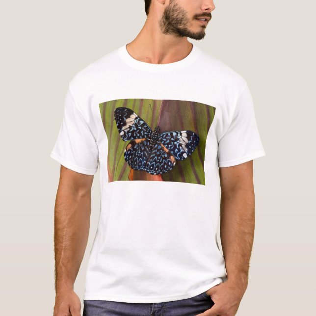 T-shirts Borboleta tropical (Frente)