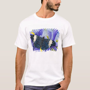 T-shirts Borboleta Tropical Íris Roxa