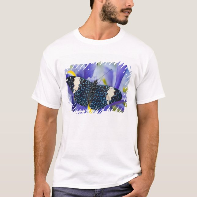 T-shirts Borboleta Tropical Íris Roxa (Frente)