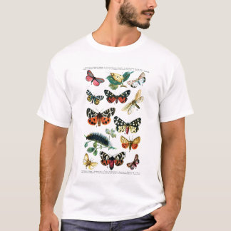 T-shirts Borboletas européias