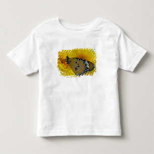 T-shirts Borboletas tropicais