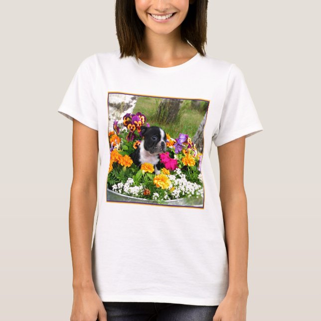 T-shirts Boston Terrier (Frente)