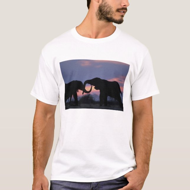 T-shirts Botswana, Parque Nacional Chobe, Elefantes (Frente)