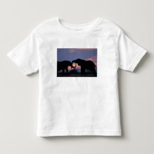 T-shirts Botswana, Parque Nacional Chobe, Elefantes
