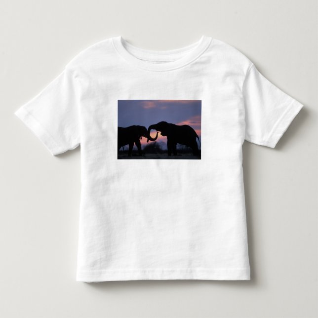 T-shirts Botswana, Parque Nacional Chobe, Elefantes (Frente)