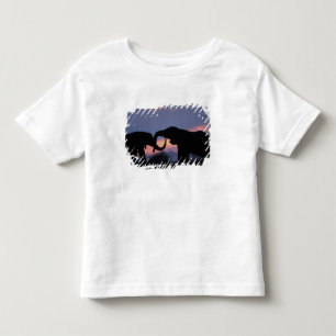 T-shirts Botswana, Parque Nacional Chobe, Elefantes