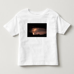 T-shirts Botswana, Reserva Natural de Moremi, Relâmpagos