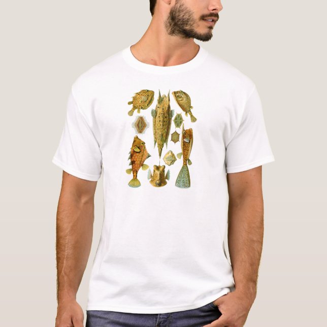 T-shirts Boxfish ou Cowfish (Frente)