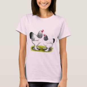 T-shirts Brahma:  Clara