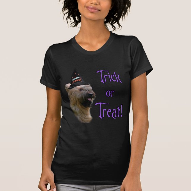 T-shirts Briard Trick (Frente)