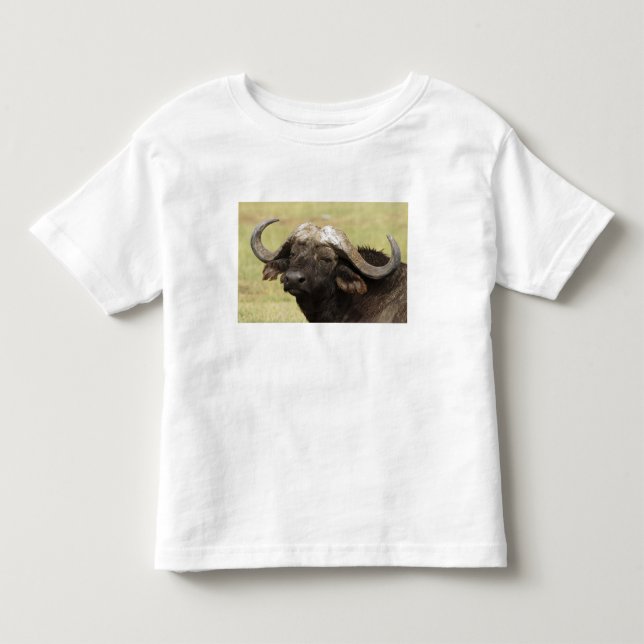 T-shirts Búfalo-africano, Syncerus caffer (Frente)