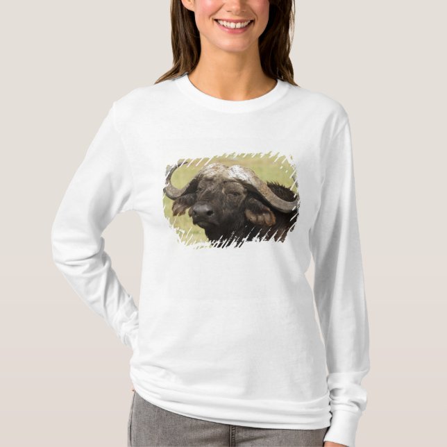 T-shirts Búfalo Africano, Syncerus caffer (Frente)