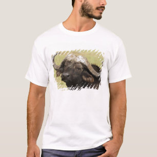 T-shirts Búfalo-africano, Syncerus caffer