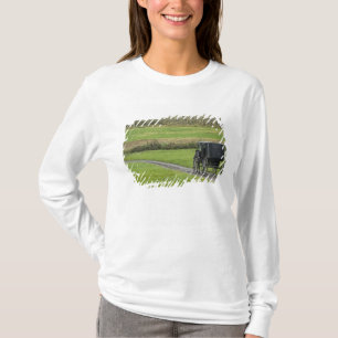 T-shirts Bugue amish em estrada rural, Nordeste de Ohio,