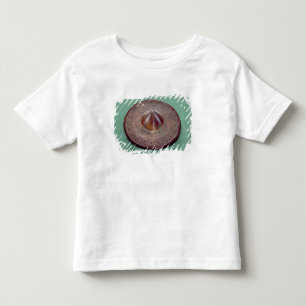 T-shirts Cabeça entalhada do pino, de Ireland, c.700 BC