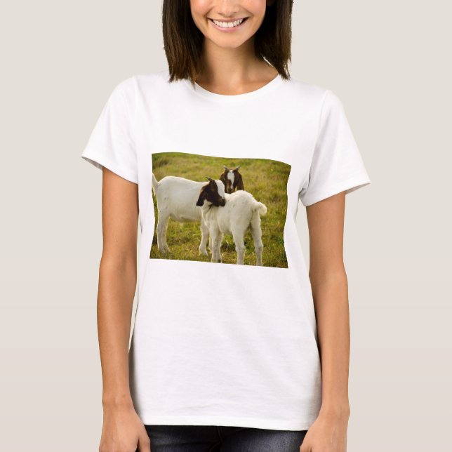 T-shirts Cabra Boer Adorável em Fazenda Ensolarada (Frente)