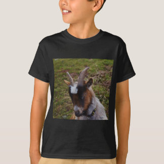 T-shirts Cabra bonito