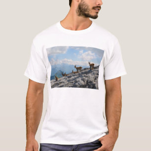 T-shirts Cabras de montanha selvagens do íbex alpino