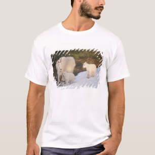 T-shirts cabras montesas