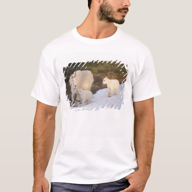 T-shirts cabras montesas (Frente)