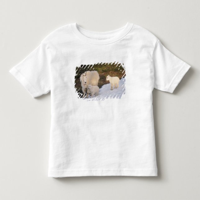 T-shirts cabras montesas (Frente)