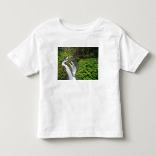 T-shirts Cachoeira Sol Duc no Parque Nacional Olímpico em 2