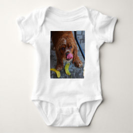 T-shirts Cachorro Molhado com uma Banana