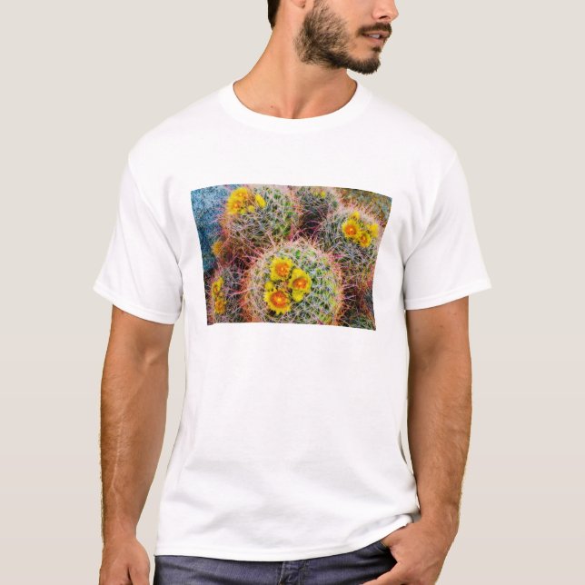T-shirts Cacto em barril de perto, Califórnia (Frente)