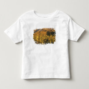 T-shirts Cacto saguaro no Parque Nacional Saguaro perto
