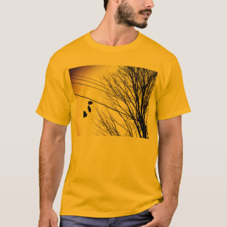T-shirts Calçados em uma linha eléctrica