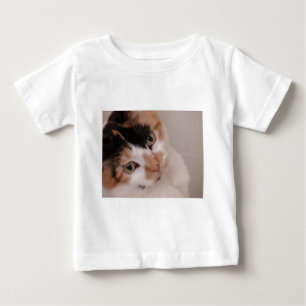 T-shirts Calico Cat