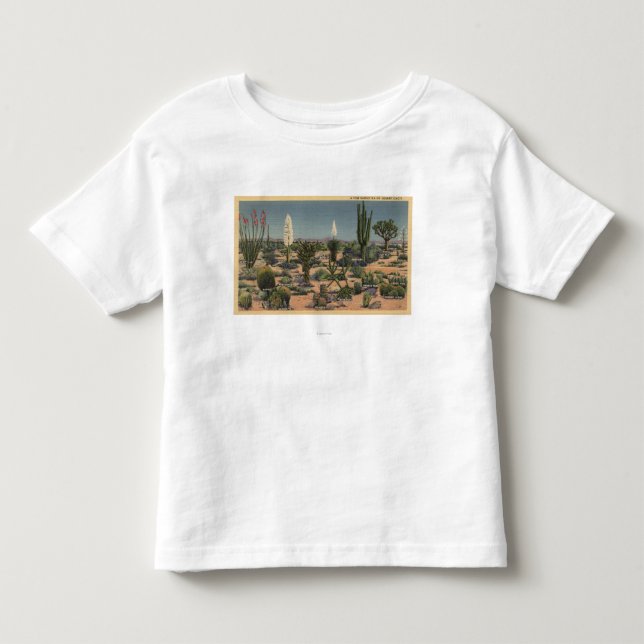 T-shirts CaliforniaVarieties de cactos do deserto (Frente)