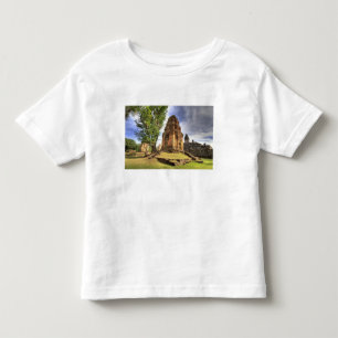 T-shirts Camboja, Angkor Wat. Vista do Templo Bakong.