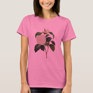 T-shirts Camélia branca, 1833