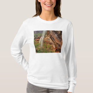 T-shirts Caminhando na Trilha Emerald Pools em Zion Nationa