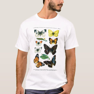 T-shirts Camiseta-T de Placa II de Borboletas Europeias