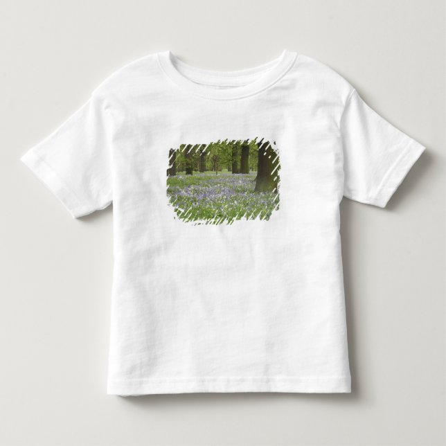 T-shirts Campainhas azuis e Carvalhos na Primavera, Little  (Frente)