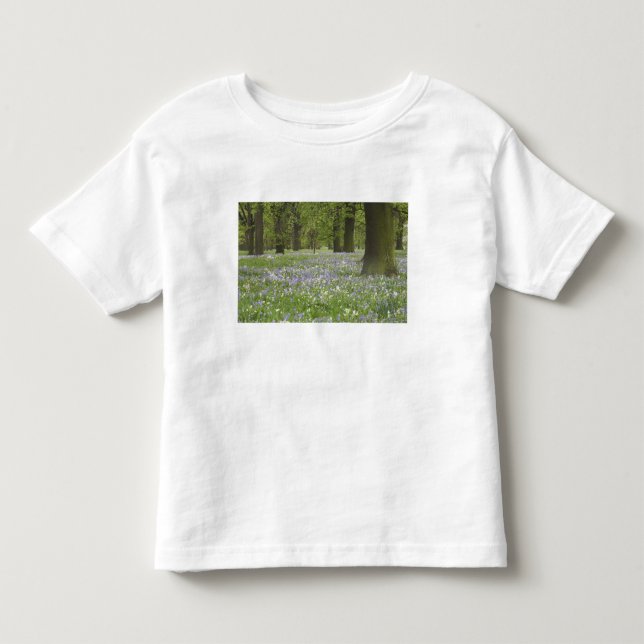 T-shirts Campainhas azuis e Carvalhos na Primavera, Little  (Frente)