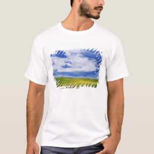 T-shirts Campo de flores de Canola ou Mostarda, Palouse