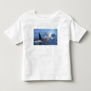 T-shirts Canadá, Colúmbia Britânica, Johnstone Straight,