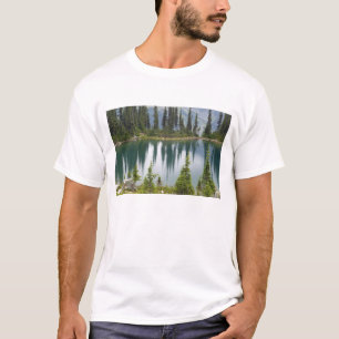 T-shirts Canadá, Colúmbia Britânica, Revelstoke Nacional