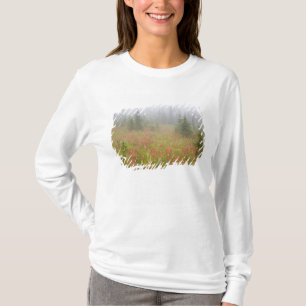 T-shirts Canadá, Colúmbia Britânica, Revelstoke Nacional