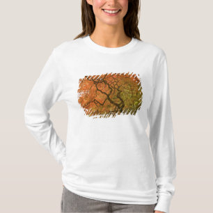 T-shirts CANADÁ, Colúmbia Britânica, Vitória. Outono 2