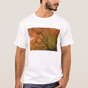 T-shirts CANADÁ, Colúmbia Britânica, Vitória. Outono 2