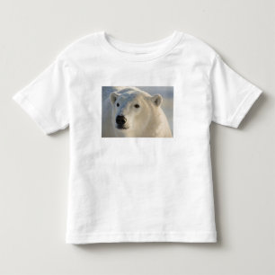 T-shirts Canadá, Manitoba, Baía de Hudson Urso Polar