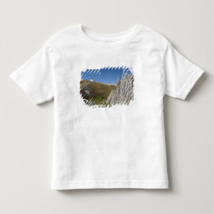 T-shirts Canadá, Terra Nova e Labrador, L'Anse Aux 2