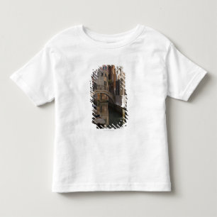 T-shirts Canais de Veneza e ponte de pedra