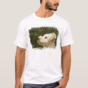 T-shirts Caniche 2 (brancos)