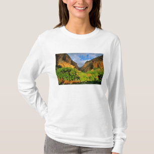 T-shirts Cânion Kolob no Cânion Zion no Parque Nacional Zio